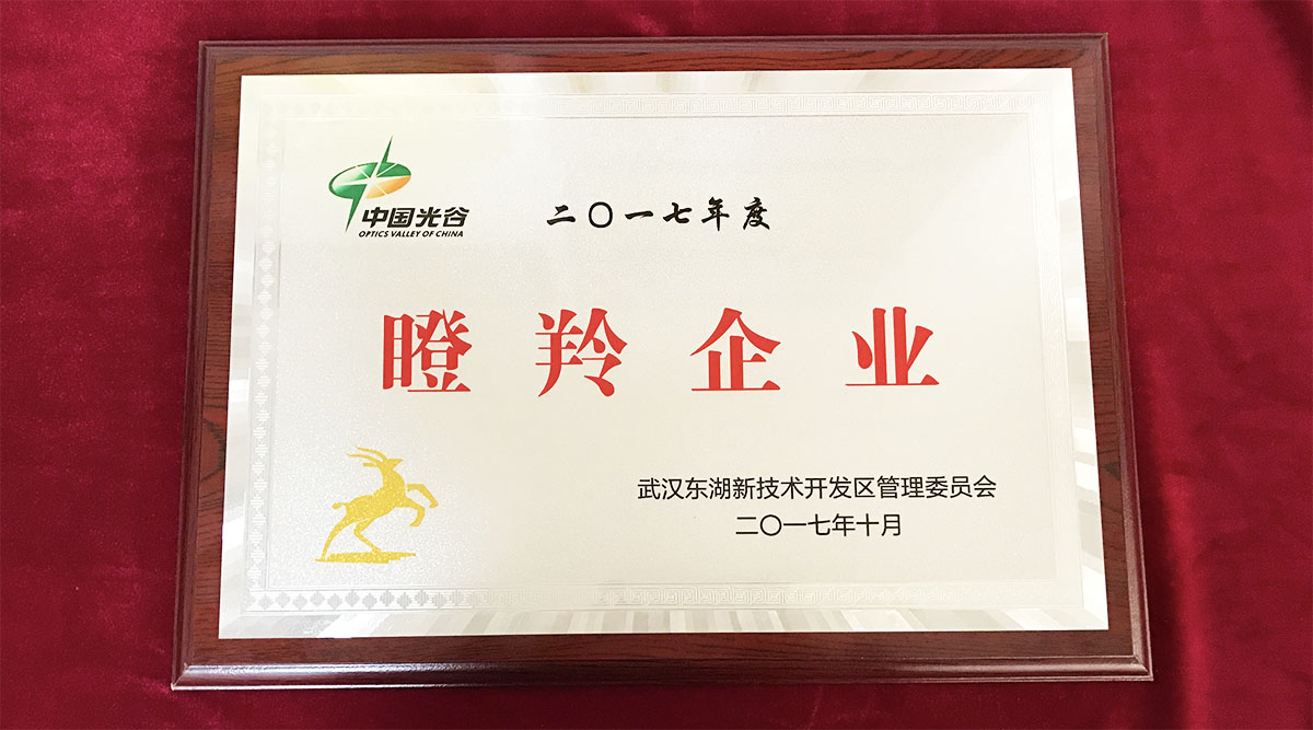 祝賀武漢邁信電氣技術有限公司榮獲中國光谷2017年度“瞪羚企業(yè)”！